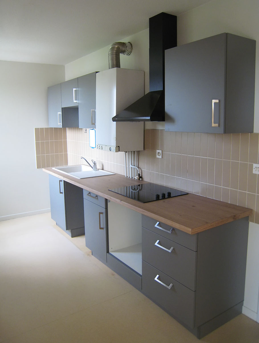 Façade — Décors gris cendré.
Plan de travail — Décors chêne davos.
Electroménager — Plaque de cuisson, hotte.